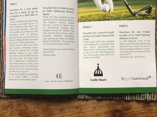 Brochure Design – Indaba