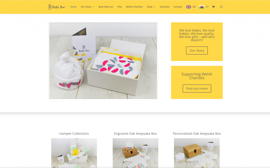 Ecommerce Website design – Babi Bw