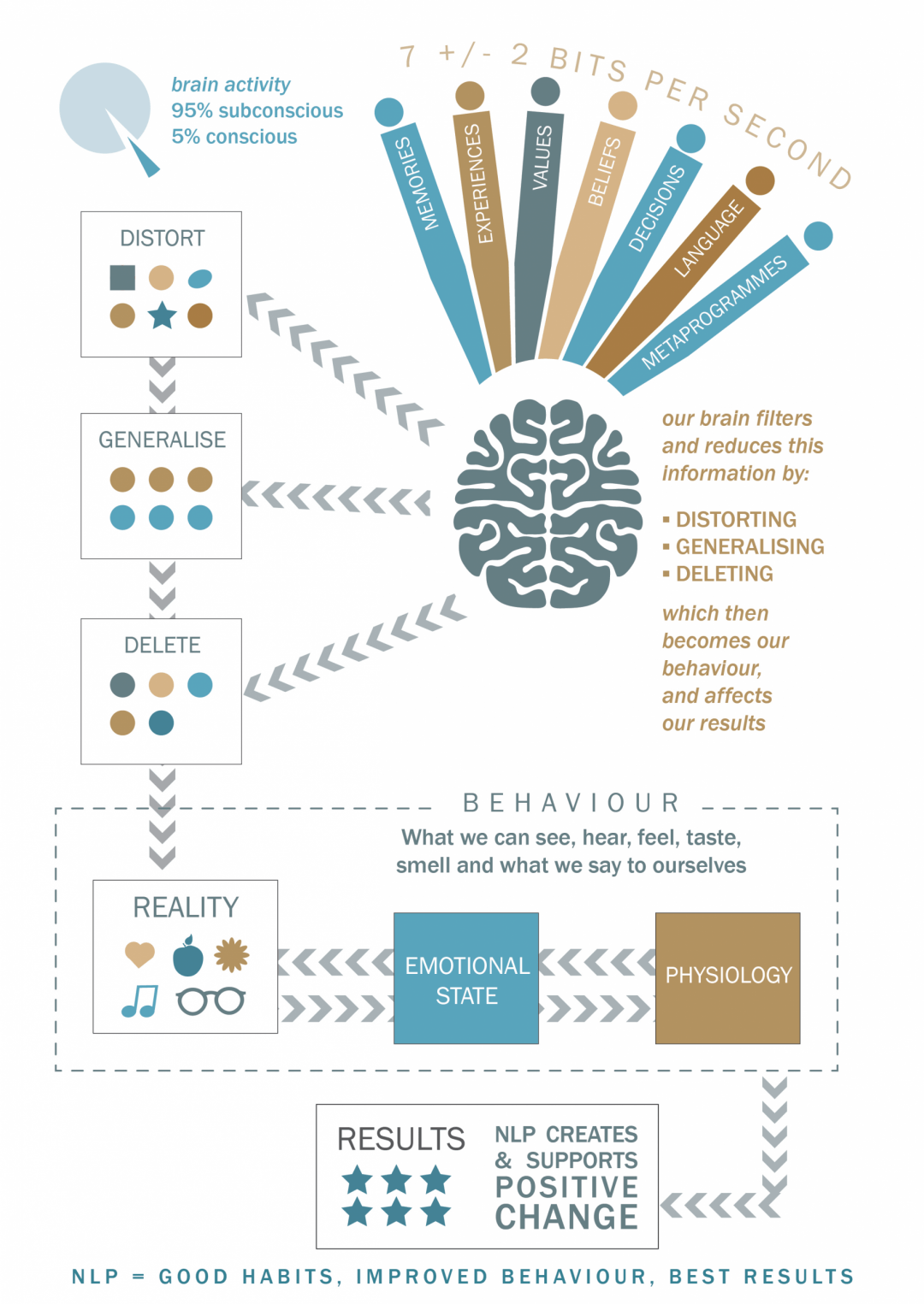 Infographic / Illustration – Dr Bridget