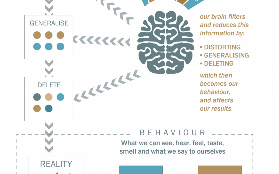 Infographic / Illustration – Dr Bridget